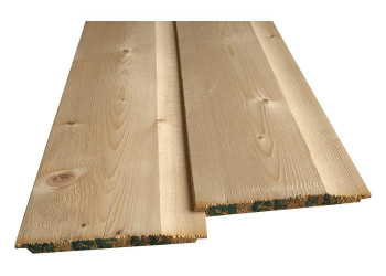 Shiplap Treated Timber