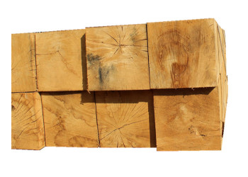 New Type Garden Sleepers - Green 200 x 200